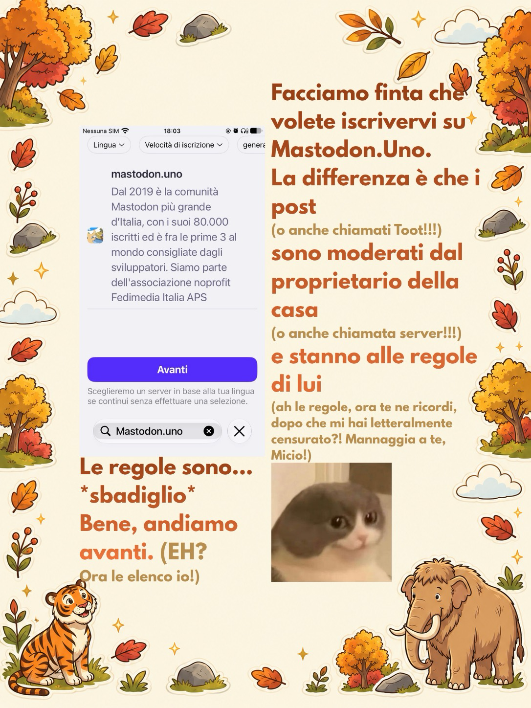 Link Preview Image