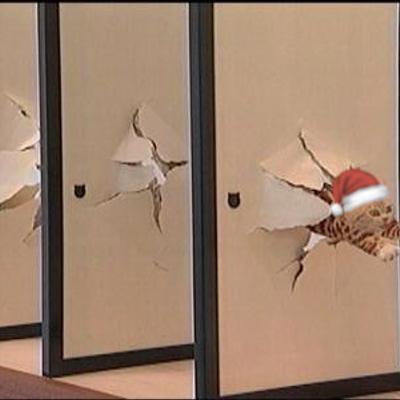 toroidalcore@masto.hackers.town