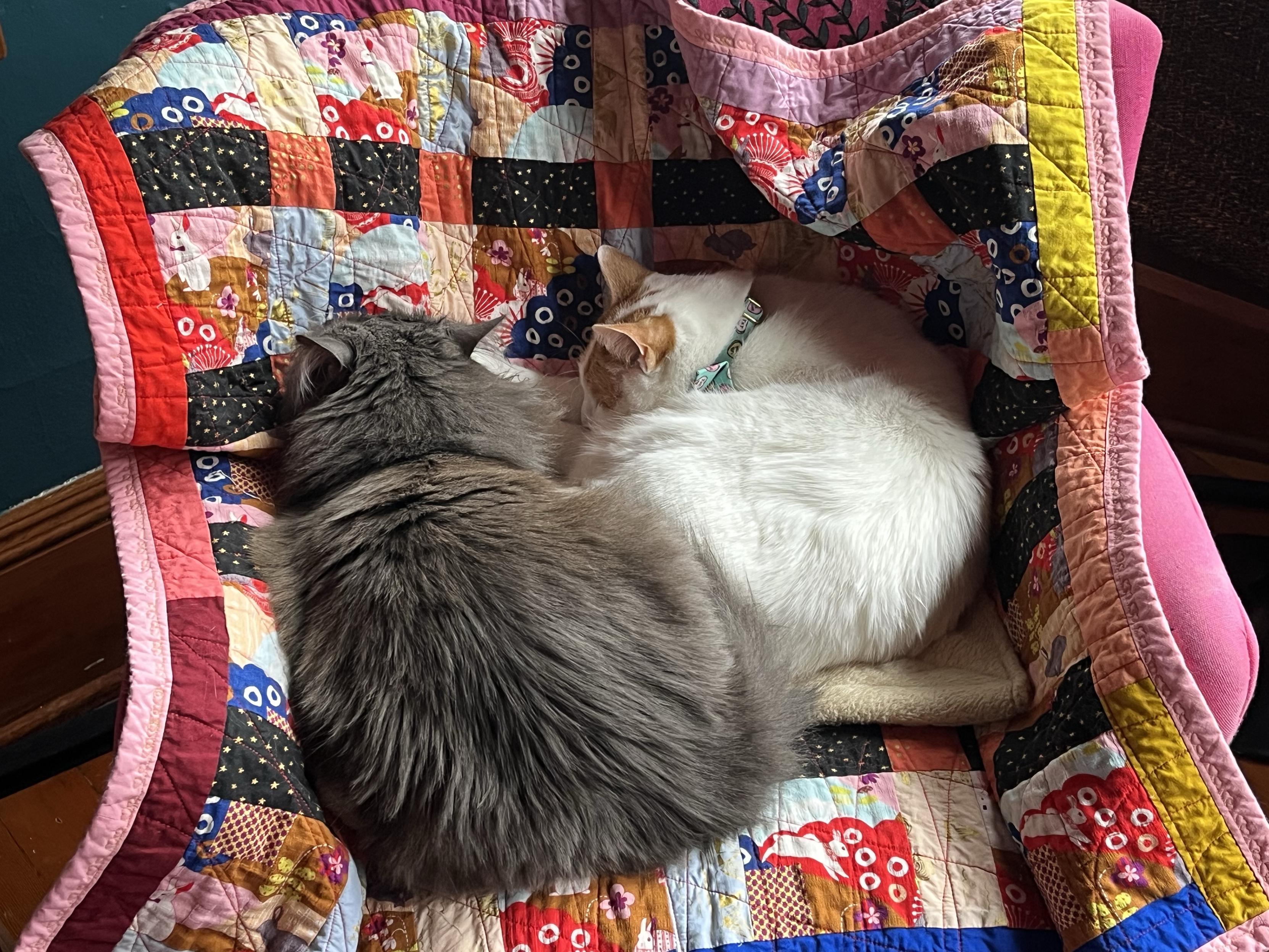 Two cats are curled up together on a colorful quilt draped over a chair. The quilt features various patterns, and the cats are nestled closely, creating a cozy scene.