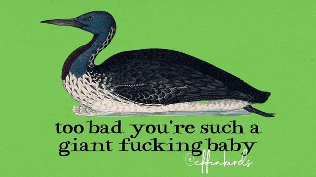 A painting of a bird beside the text "too bad you're such a giant fucking baby"