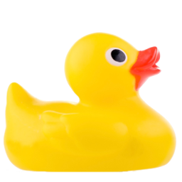 :rubberducky: