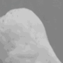 :shocked_owl: