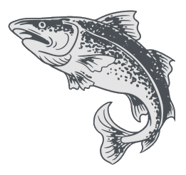 :bacalhau_vivo_2: