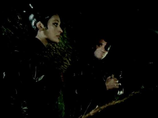 Claude 3.7 describes the image as: "The image shows a dark, atmospheric scene that appears to be set in a forest or wooded area at night. There are two people visible in profile against the shadowy background, with foliage visible around them. The lighting is very low-key and dramatic, creating a tense, secretive mood. The individuals are wearing dark clothing that blends with the nighttime setting, suggesting they might be hiding or on some kind of covert mission. The composition has a cinemat…