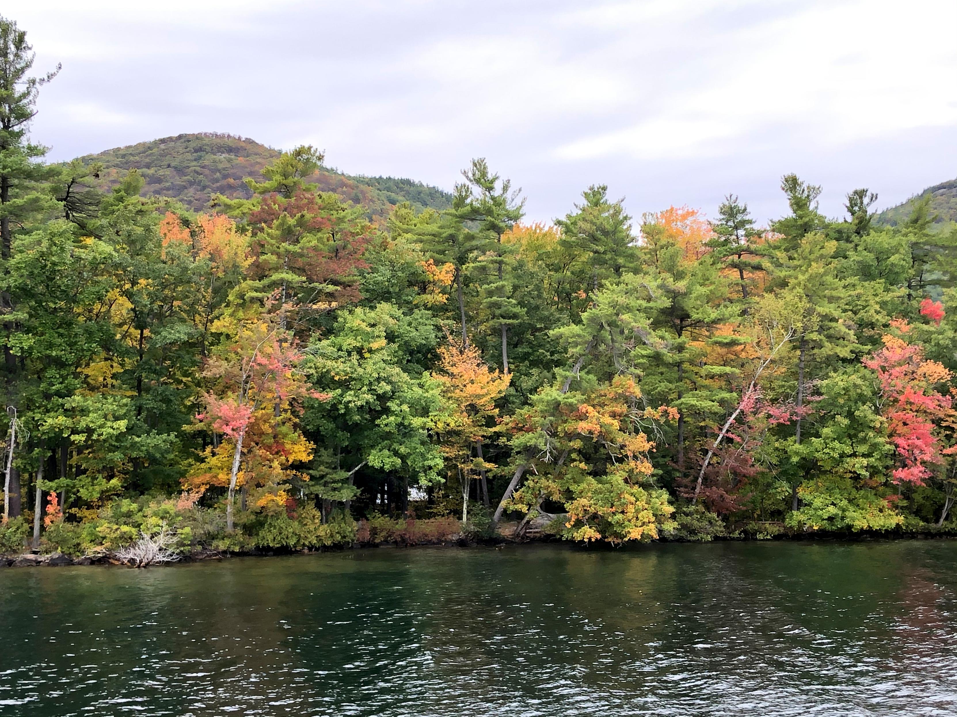 Vantage point is from a Lake George New York boat cruise... Looking at fall foliage trees colored green, yellow, orange, and red on a semi rocky shoreline... Background sky is overcast and shows the top of two mountains obscured by the trees... Foreground pretty lake water...