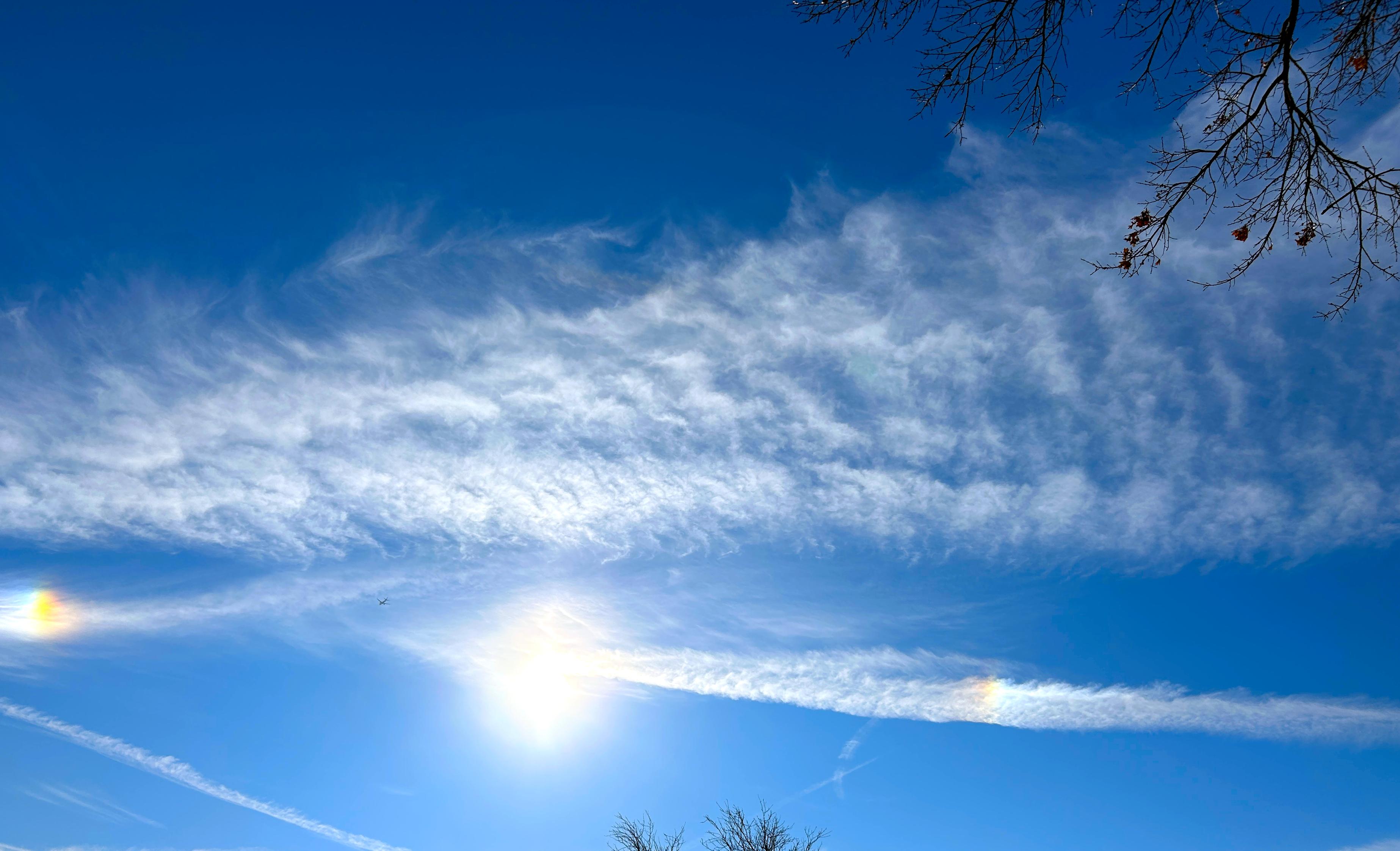 Background: The Sun...
Middleground: Blue Sky...
Foreground: Higher altitude, white, layered, textured clouds in front of the sun... To the left and right of the sun are small rainbows glowing in the clouds - partial "sundog"... Look closely left of the sun and you'll see an airliner flying at less than 10,000 feet altitude... Miscellaneous: leafless tree branches at top right and lower middle... 

Created: 12/16/25 1:33pm
Aperture: ƒ∕1.5
Exposure: 1∕16393 s
ISO: 40
Focal Length: 5.7 mm