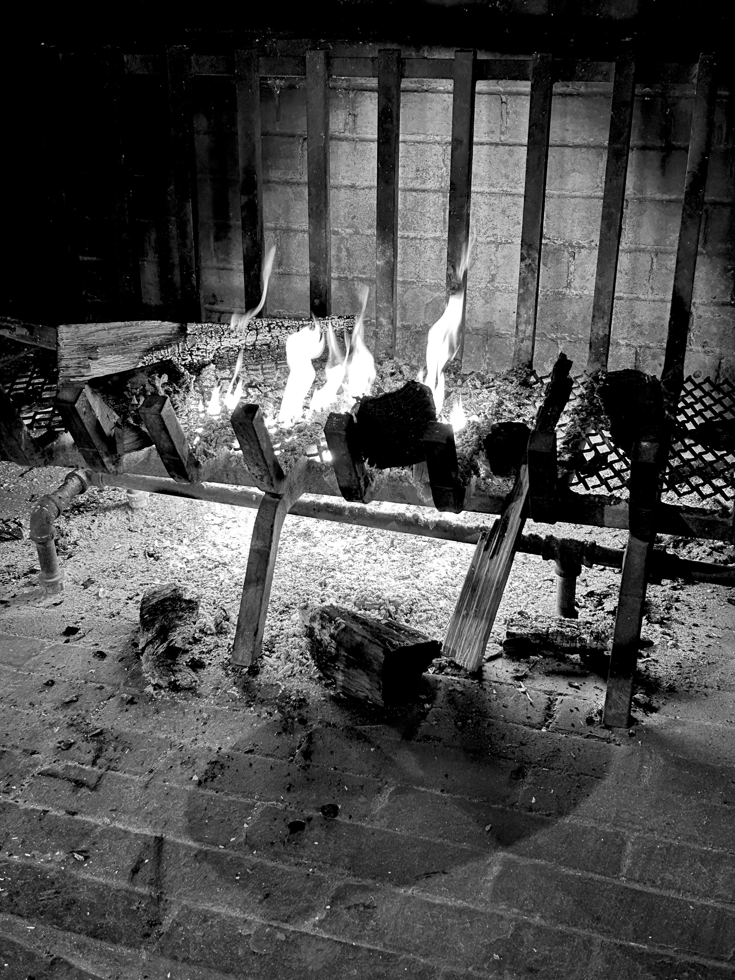 Background: Brick chimney...
Middleground: Fire burning wood logs on a metal fireplace grating...
Foreground: Brick floor with some fallen log pieces... 

Created: 2/3/26 1:00pm
Aperture: ƒ∕1.5
Exposure: 1∕54 s
ISO: 200
Focal Length: 5.7 mm