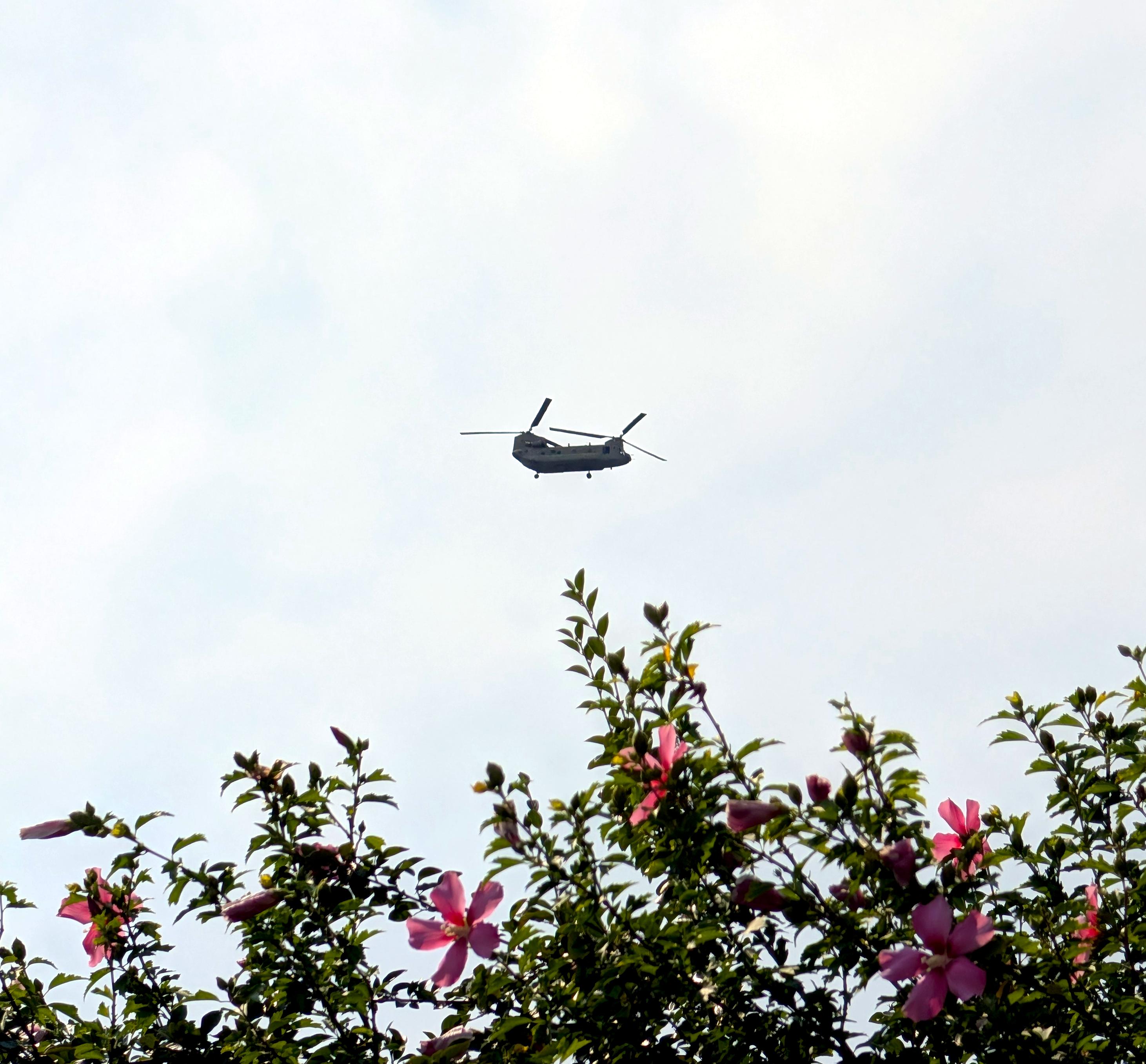 Background: Mostly cloudy sky...
Middleground: Boeing CH-47 Chinook tandem rotor helicopter flying...
Foreground: Green bush tree with magenta flowers...  

Created: 8/12/26 3:16pm
Aperture: ƒ∕2.8
Exposure: 1∕3636 s
ISO: 81
Focal Length: 17.906 mm
Google Pixel 10 Pro XL