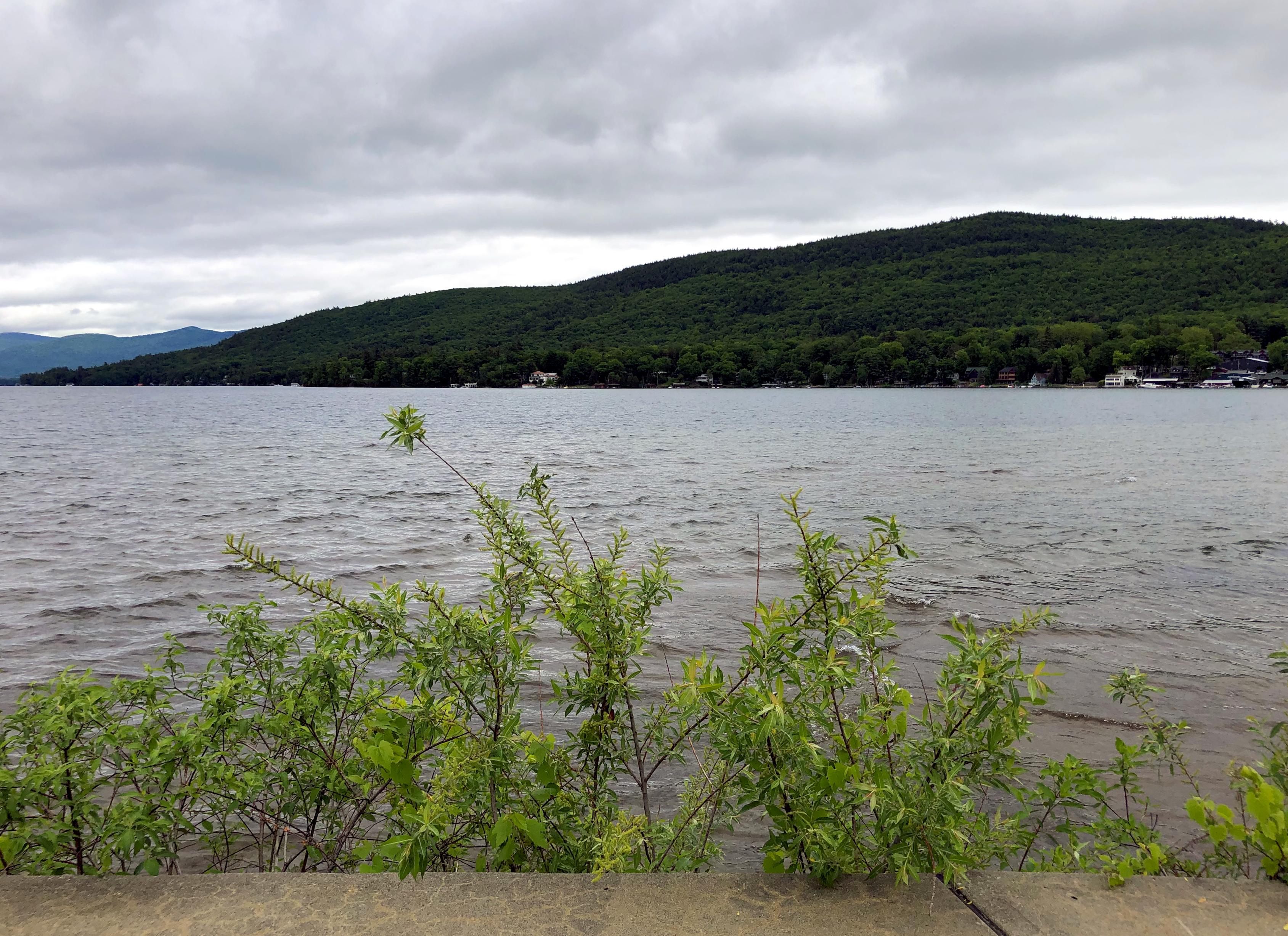 Background: Overcast cloudy sky...
Middleground: Two layers of medium sized mountains, one group distant and faded in color, one group much closer covered in green trees with homes at the base near the lake shoreline...
Foreground: Lake water with very minor ripply waves... Near the camera is a cement structure with thin long green bush leaves...

Created: 5/31/2021 11:13 am
Aperture: ƒ∕1.8
Exposure: 1∕889 s
ISO: 20
Focal Length: 3.99 mm