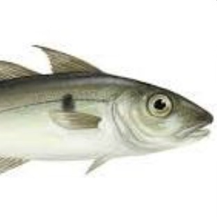 Finnan Haddie