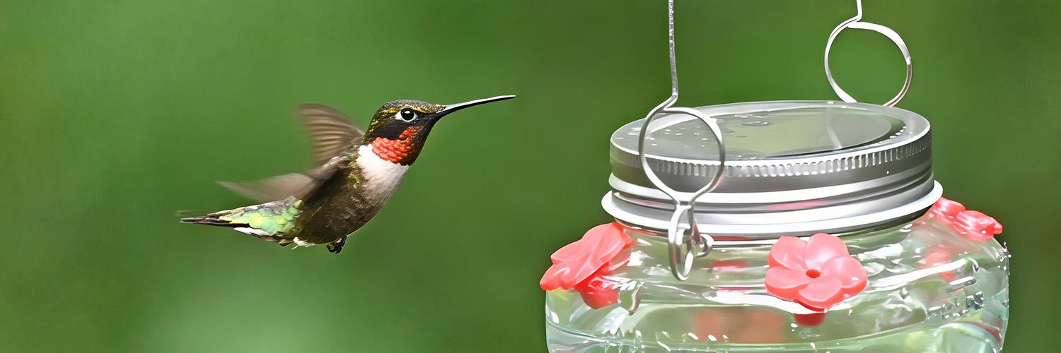 Header Image