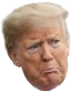 :trump_sadge: