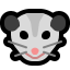 :mt_opossum: