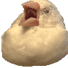 :yawn_javasparrow: