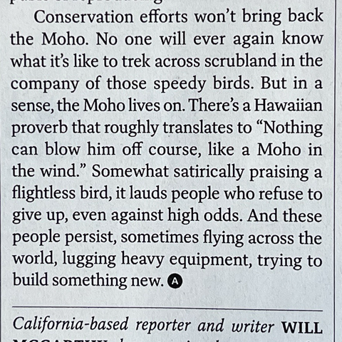 Photo of the final paragraph of the Audubon article: “Conservation efforts won’t bring back the Moho. No one will ever again know what it’s like to trek across scrubland in the company of those speedy birds. But in a sense, the Moho lives on. There’s a Hawaiian proverb that roughly translates to “Nothing can blow him off course, like a Moho in the wind.” Somewhat satirically praising a flightless bird, it lauds people who refuse to give up, even against high odds. And these people persist, sometimes flying across the world, lugging heavy equipment, trying to build something new.”