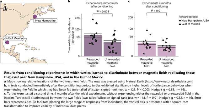 maps and charts - Results from conditioning experiments in which turtles learned to discriminate between magnetic fields replicating those that exist near New Hampshire, USA, and in the Gulf of Mexico