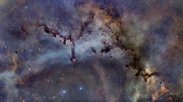 A close-up of the Rosette Nebula