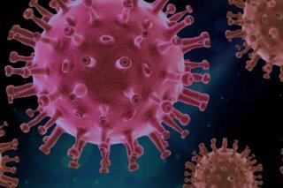 Illustration of a virus