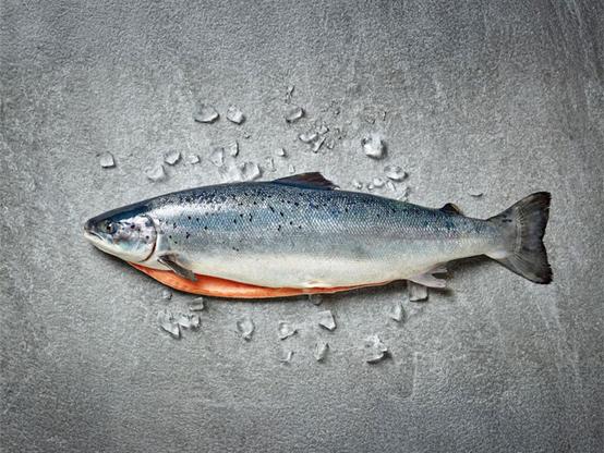 Kaldvik AS Completes the Acquisition of Key Assets in the Fish Farming Value Chain on the East-Coast of Iceland