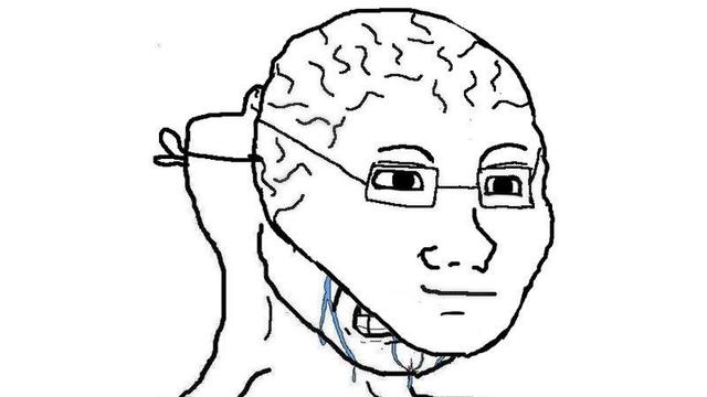 Wojak of person with big brain mask covering up a small brained person crying