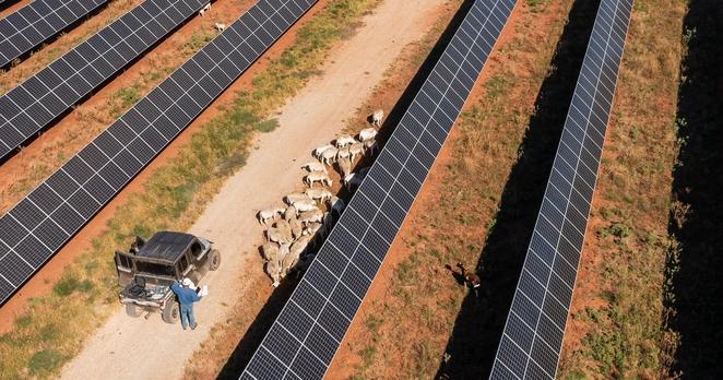 New regulations for renewable energy possible in Texas