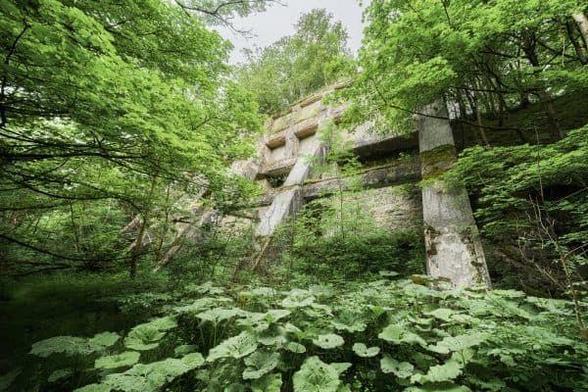 angular concrete building emerging from the forest