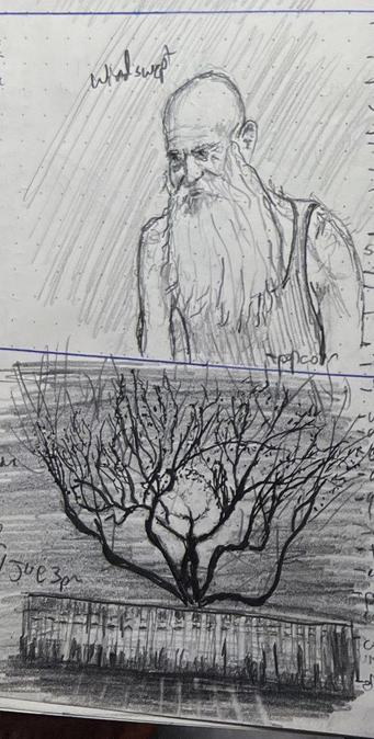 A pair of pencil sketches. The upper sketch shows an wiry old bald man with an enormous beard. He's depicted from the chest up, and seems to be somewhat windswept. The lower sketch shows a cherry tree just in blossom as the sun rises behind it, throwing it into sharp contrast.