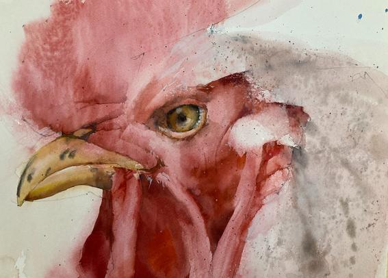 watercolor of a cockerel