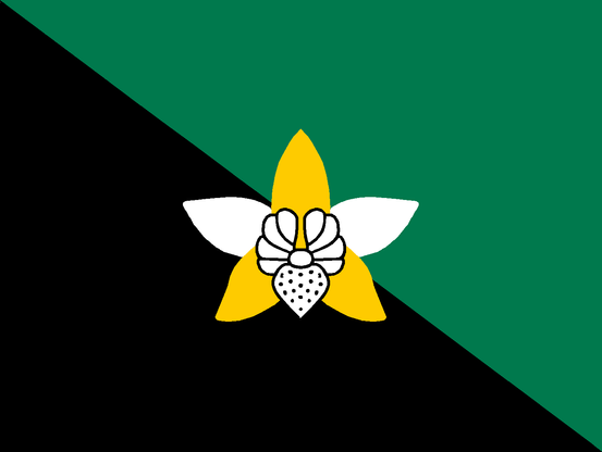 Flag of Enga, Papua New Guinea.