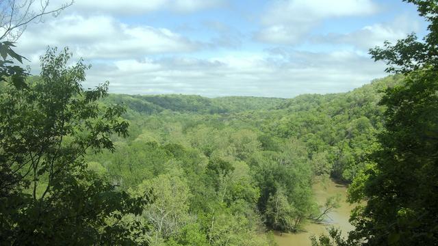 Springtime colors and conditions today in Mammoth Cave National Park. The river, seen in the lower right, is brown, and the leaves of the trees are a wide variety of greens. The sky above is blue with white and grey clouds.