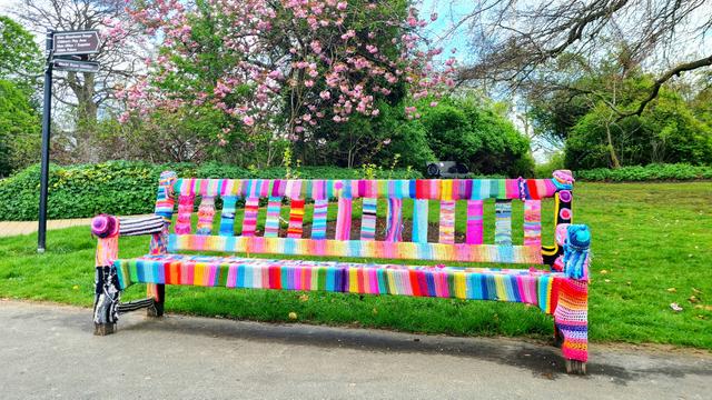 A bench covered in a brightly coloured knitted cover in Glasgow's botanic gardens.