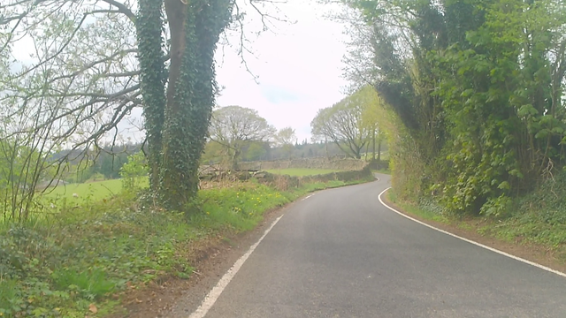A cyclist view of a single lane road on a steep uphill with trees and fields around