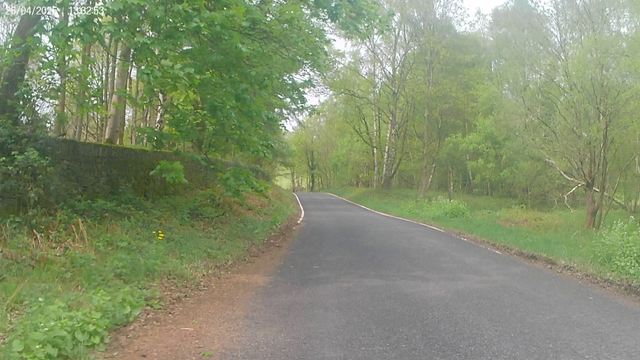 A cyclist view of a single track road passing through woodland