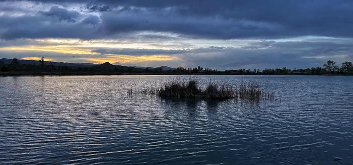 A clump of grasses in a small lake, the water’s surface rippling gently and reflecting different light and color from the sky, trees and mountains on the far side of the lake, with mostly cloudy skies above along with some golden orange post-sunset colors.