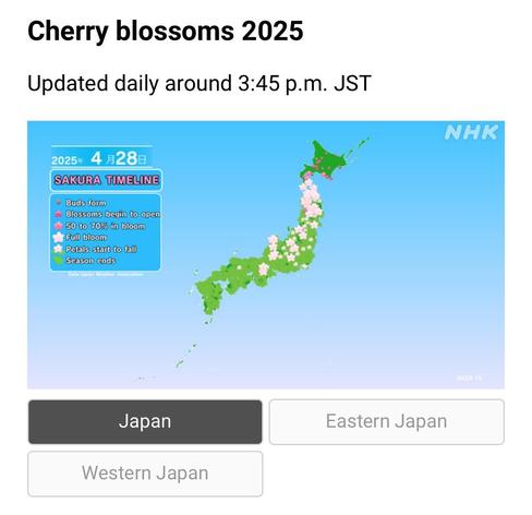 Infographic of a map of Japan for 28 April 2025, about 3:45 pm JST. 

Icons are green dots to soft pink open flowers showing start to end stages of blooms

Most of the peak bloom is in Eastern Japan today.
