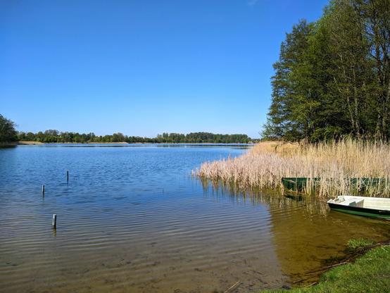 Brzeg jeziora. Po prawej w suchym sitowiu dwie łodzie, zielona i zielono-biała. Jezioro jest otoczone drzewami. Niebo jest błękitne i bez chmur.