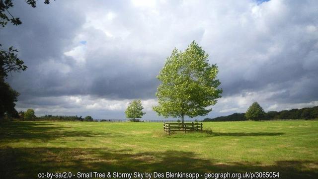A grassy field with isolated trees, green with new foliage.  The sky is full of heavy, dark, stormy clouds, but sunlight flooding in makes the greens vivid