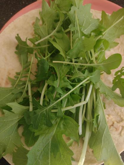Wrap met hummus, raapstelen en rucola.