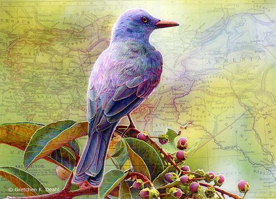 Set against a backdrop of an ancient map, colored in pale greens and golds, a purple-blue bird perches on a branch bursting with juicy red berries. NOTE: This description created especially for my lovely blind friend, Georgiana. :-)