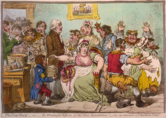 Illustrazione di James Gillray del 1802 che ironizza sugli antivaccinisti che credevano che il vaccino contro il vaiolo trasformasse i vaccinati in mucche