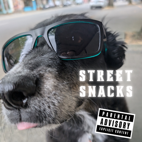 A black dog wearing sunglasses, labeled “street snacks: parental advisory, explicit content”