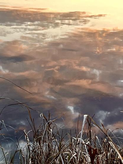 A serene reflection of clouds and a soft sunset in still water, with patches of dry grass in the foreground.