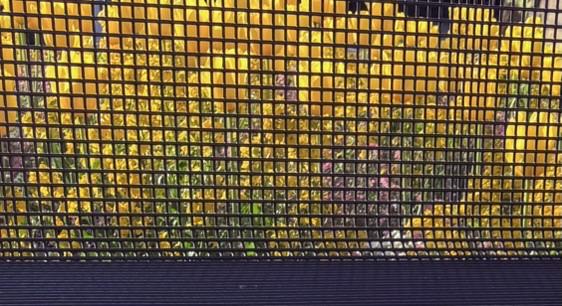 Photo taken through the wire mesh of a bench in Stuttgart Germany. Lots of yellow Tulips and others.  Sunshine, pleasant start into the day. 🙂