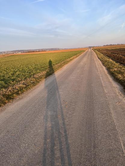 Ein langgestrecktes frühmorgendliches "Schatten-Selfie" eines Mannes und seiner Fahrrads auf dem Asphalt eines Feldwegs und dem Grün des benachbarten Feldes. Der Himmel ist blau mit ein paar Schleierwolken.