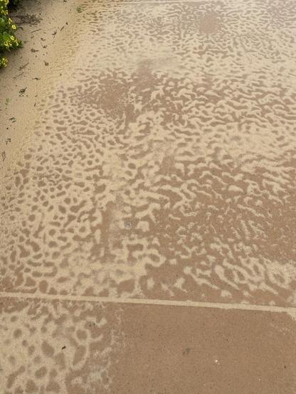 Rain has made squiggly dimpled patterns in the light layer of sand over the brown concrete footpath. Kind of like some wild cat's dappled coat.