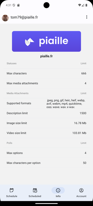 Screenshot of the info page. Several information of the instance are displayed. There are max chars, max media, polls, images and videos limits.
