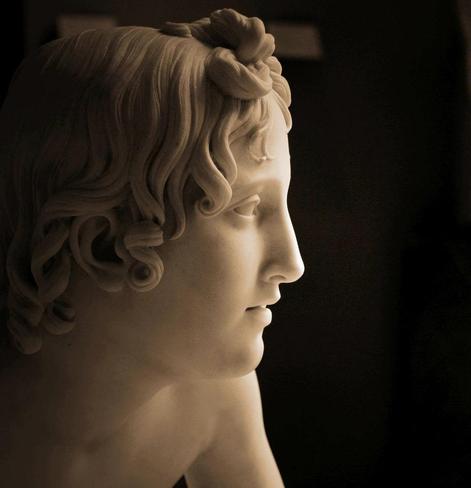 a profile view, showing the side of his face , looking right