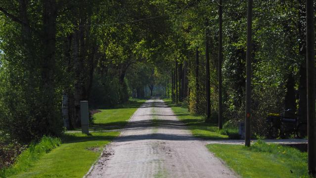 Gepflasterte schmale Straße im Sonnenlicht. Am rechten Rand stehen Telefonmasten