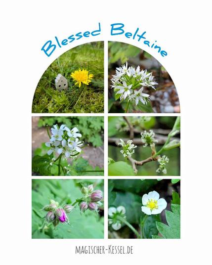 Weißer Hintergrund, 6 Bilder, angeordnet in Zweierreihe in Form eines Sprossenfensters. Zu sehen: Löwenzahnblüte und kleines Wichtelhaus auf Moos, Bärlauchblüte, Knoblauchsraukenblüte, Maulbeerblüten, pinke Storchenschnabelblüten, Weiße Erdbeerblüte. Obendrüber steht "Blessed Beltaine".
