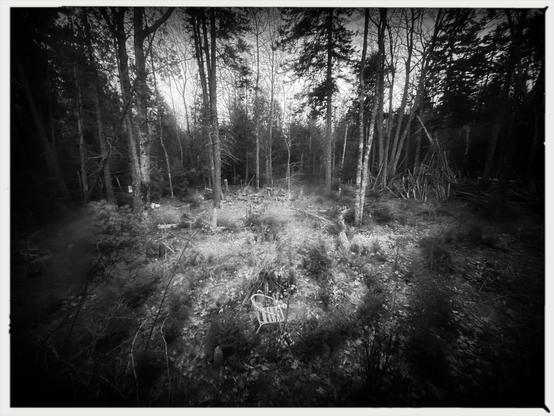 A modest labyrinth uncoils before the gloaming woods beyond. The image is black, grey and silvery white, processed to look archaic. May we be rid of the plague that afflicts us.